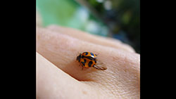 vanessa-evrard_THUMB-3